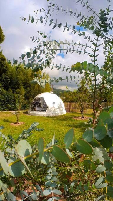 Ferienwohnung Dome In The Heart Of Boquete. Exterior foto